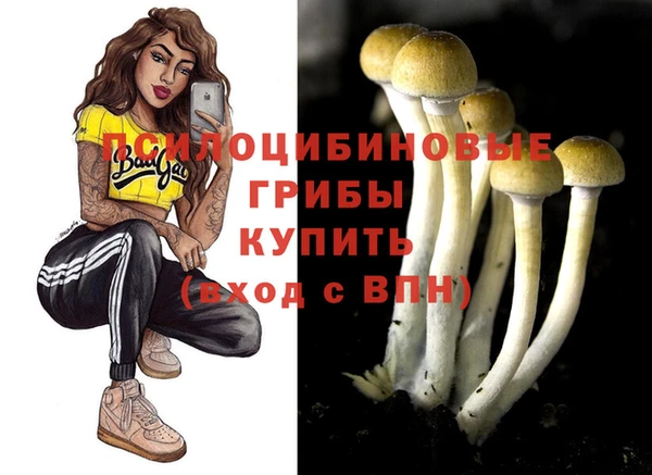 прущая мука Верея